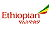 Ethiopian Airlines