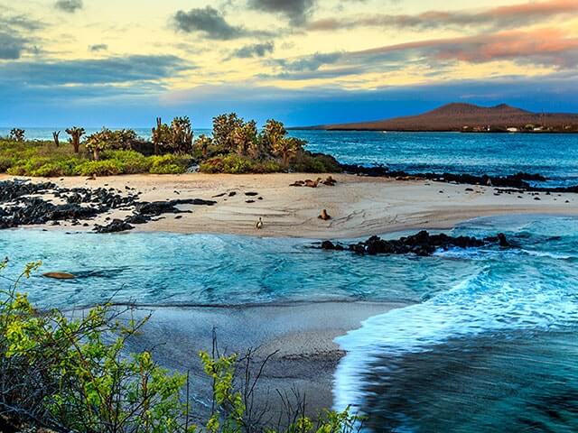 Book your flight to Galapagos Islands with eDreams