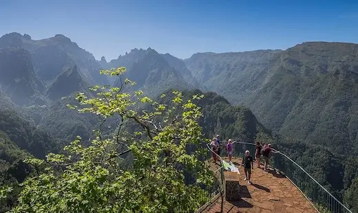The Laurisilva Forest